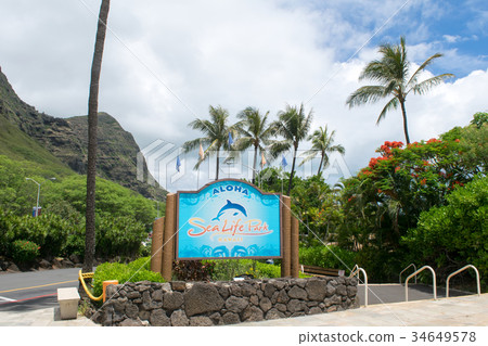 Hawaii Oahu Makapuu Sea Life Park 34649578