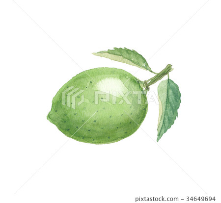 lime  34649694