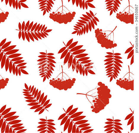 pattern with rowans - Stock Illustration [34650867] - PIXTA
