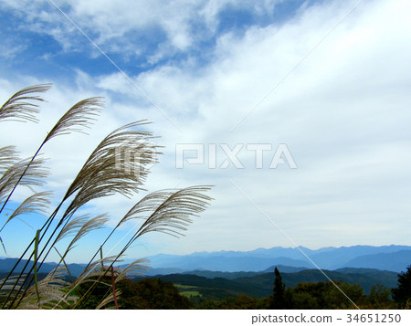 Blue sky and Sususuki Chausuyama 34651250