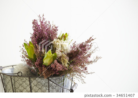 Flowers 34651407