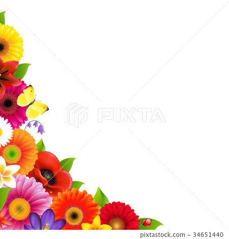 Flowers Frame 34651440