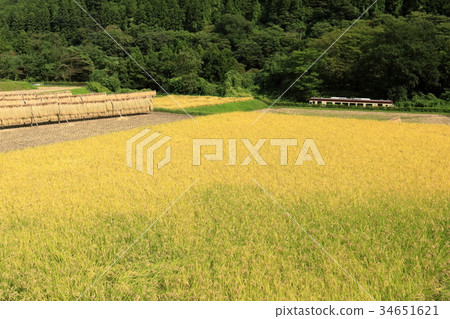 Wandering valley road running along the harvest countryside 34651621