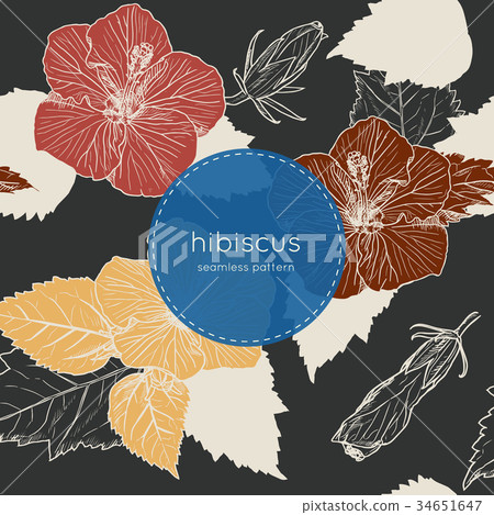 Hibiscus hand draw seamless pattern vector. 34651647