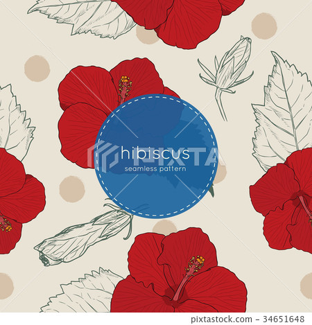 Hibiscus hand draw seamless pattern vector. 34651648