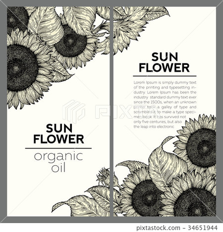 set of two sunflower vintage design templates stock illustration