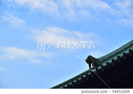 Demon Ryuko of the Yushima Cathedral roof 34652080