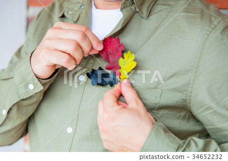 Male man holding three oak leaves 34652232
