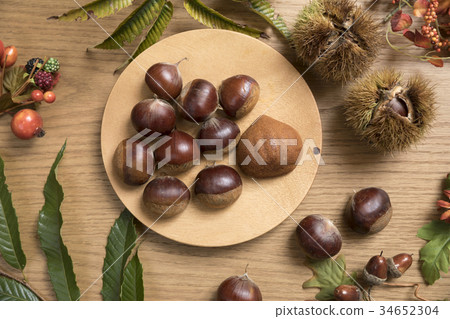 Chestnut Chestnut 34652304