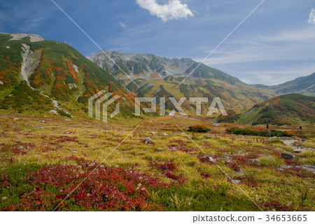 Murodo of autumn leaves time (Tateyama Kurobe Alpine Route) 34653665