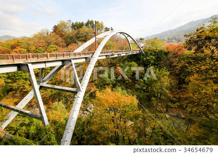 Hakusan Bridge Fall From the Goto Dam downstream 34654679