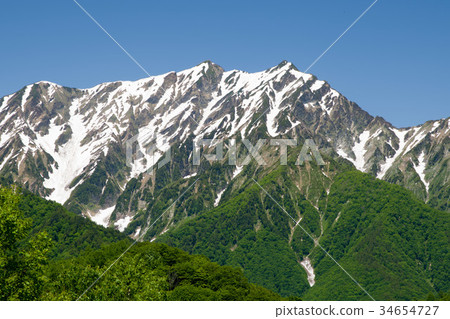 Kashima-Shigatake(來自大町市黑澤明高原) Kashima-Shigatake(來自大町市黑澤明高原) 34654727