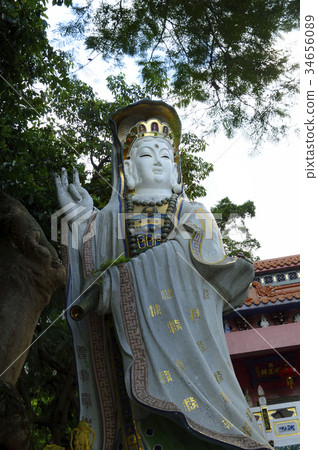 94555香港鎮海大廈公園 34656089