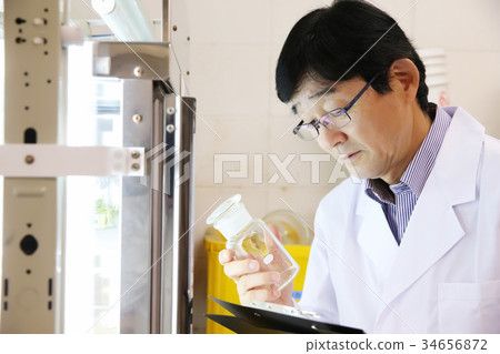 Researcher Male 34656872