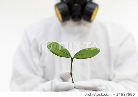 Men with protective clothing and buds of trees Environmental problem image Men with protective clothing and buds of trees Environmental problem image 34657690