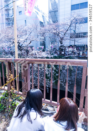 Image of Megurogawa Sakura Festival, lunch Image of Megurogawa Sakura Festival, lunch 34659527