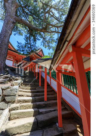 Hinosaki Shrine Shinto Shrine 34660369