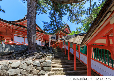 Hinosaki Shrine Shinto Shrine 34660370