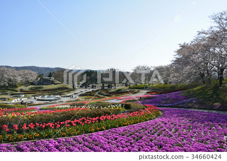 Michinoku Dori Lakeside Park 34660424