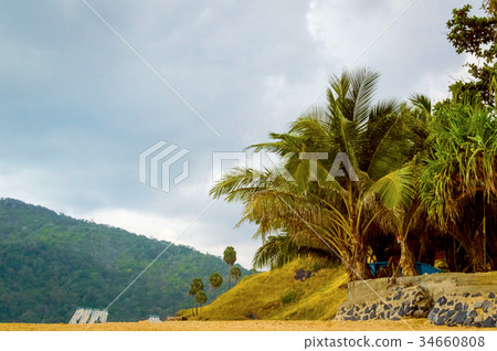 Beautiful beach with granite rocks and palm trees 34660808