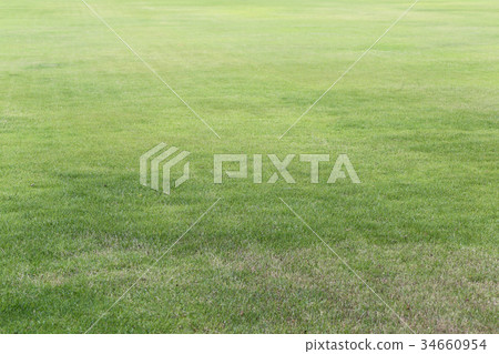 green lawn of the public park. green lawn of the public park. 34660954