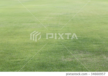 green lawn of the public park. green lawn of the public park. 34660957
