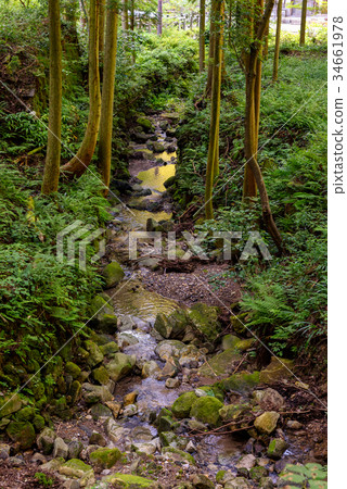 Iwami Ginzan 34661978