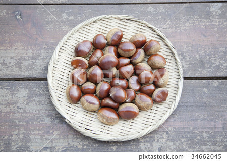 Chestnut  34662045