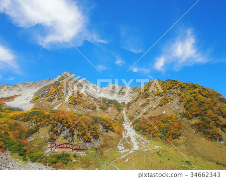 Serizawa 7秋葉2017年 34662343