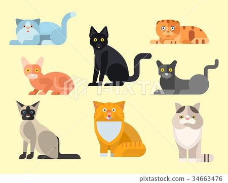 Cats vector illustration cute animal funny Cats vector illustration cute animal funny 34663476