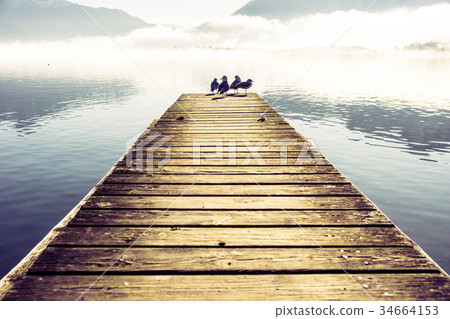 Pier with seagulls by lake Mondsee in Autria 34664153