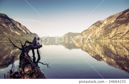 Sognefjord fjord landscape in Norway 34664235