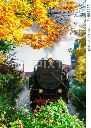 Narrow gauge steam train in WernigerodeGermany 34664255