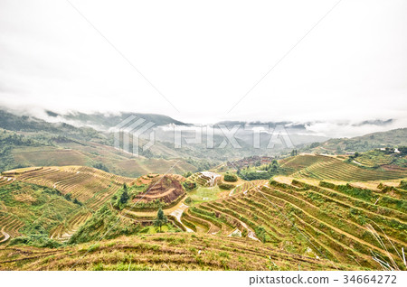 Rice terrace of Longsheng in China Rice terrace of Longsheng in China 34664272