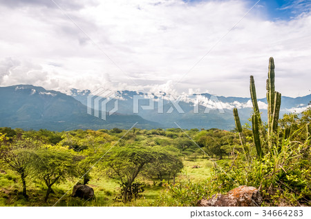 Mountain landscape in the Andes of Colombia 34664283