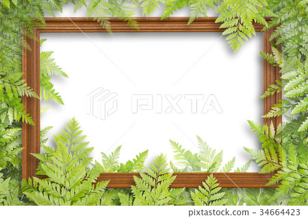 Wooden Frame And Green Leaves For Frame 34664423