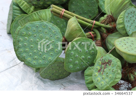 lotus seed at street food 34664537
