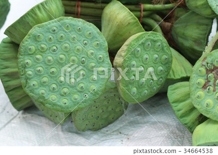 lotus seed at street food 34664538