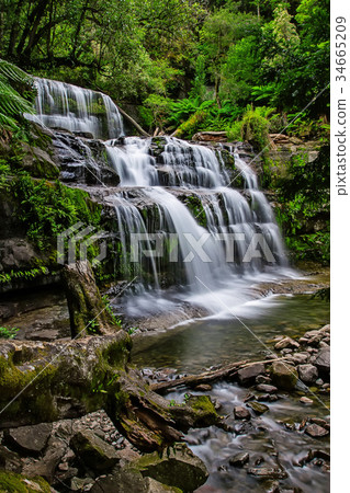 Liffey Falls State Reserve of Tasmania, Australia. 34665209