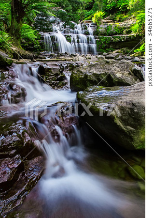 Liffey Falls State Reserve of Tasmania, Australia. 34665275