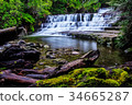 Liffey Falls State Reserve of Tasmania, Australia. 34665287