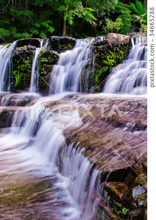 Liffey Falls State Reserve of Tasmania, Australia. Liffey Falls State Reserve of Tasmania, Australia. 34665288