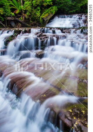 Liffey Falls State Reserve of Tasmania, Australia. 34665295