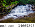 Liffey Falls State Reserve of Tasmania, Australia. 34665298