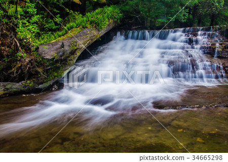 Liffey Falls State Reserve of Tasmania, Australia. 34665298