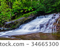 Liffey Falls State Reserve of Tasmania, Australia. 34665300