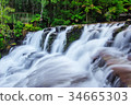 Liffey Falls State Reserve of Tasmania, Australia. 34665303