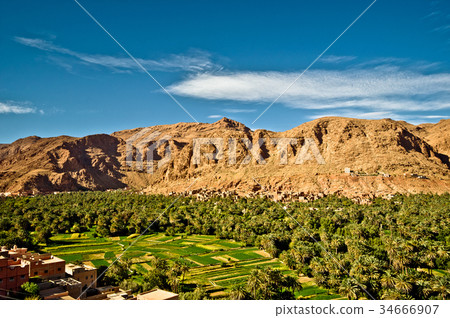 Palm Oasis of Tineghir in Morocco by Todra 34666907