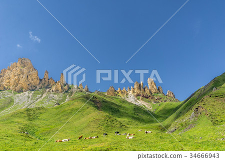 Schlern mountain landscape in South Tyrol Schlern mountain landscape in South Tyrol 34666943