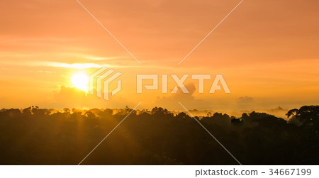 Sunset over rain forest by Amazon river in Brazil Sunset over rain forest by Amazon river in Brazil 34667199